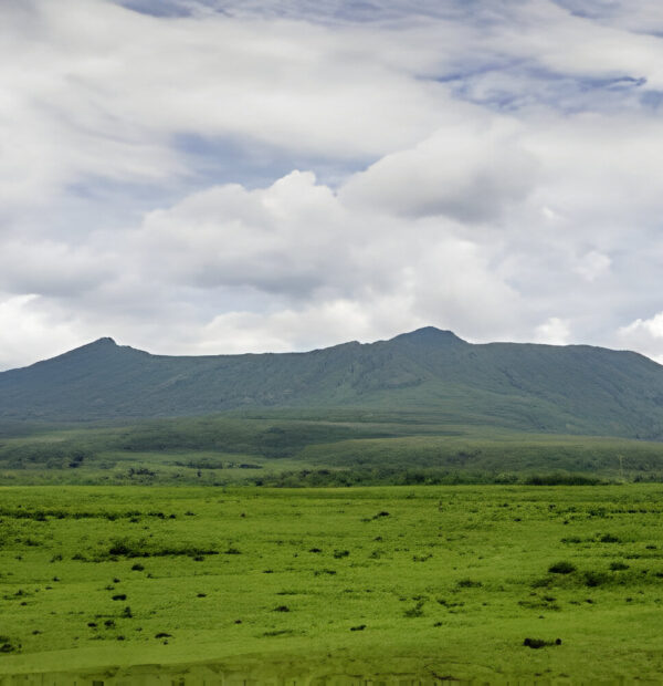 The best 6 days Mount Kenya Trekking Safari in 2025-2030