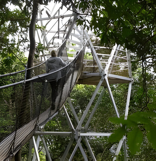 The best 3 Day Trek via Mahoma Nature in Uganda