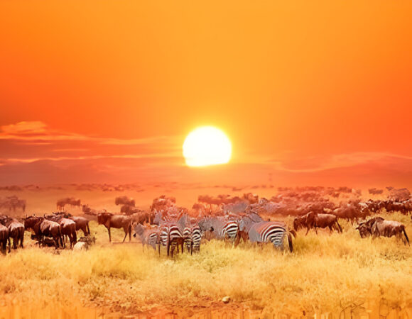 The best 7 day Mountain Kenya Hiking tour  in kenya