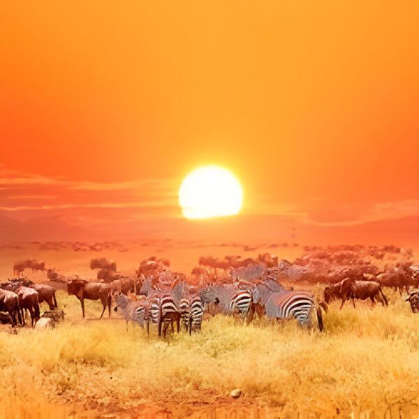 The best 7 day Mountain Kenya Hiking tour  in kenya
