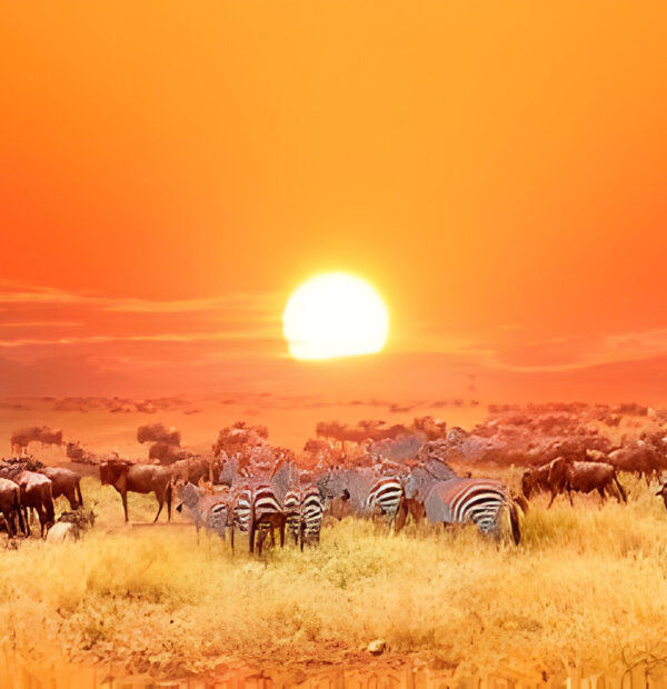 The best 7 day Mountain Kenya Hiking tour  in kenya