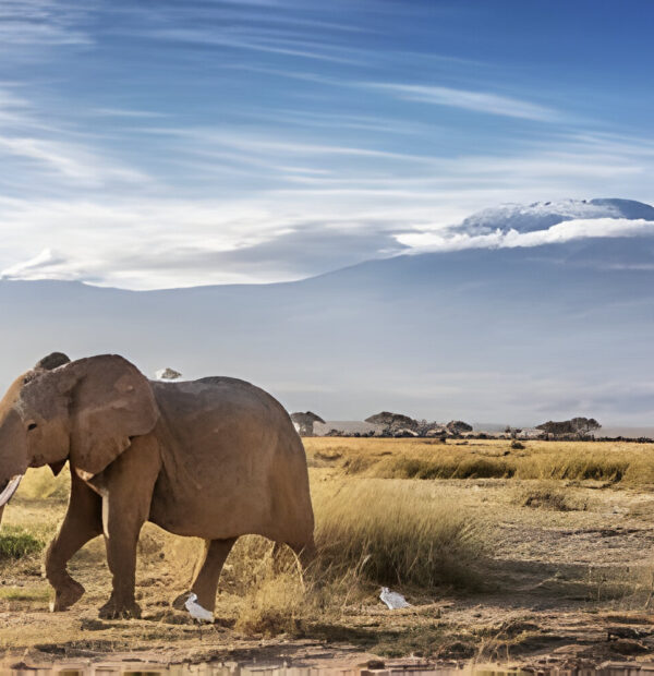 The best 5day 4 Night hiking and walking Aberdare