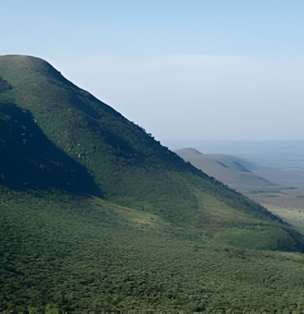 The Most popular 1 days hiking and walking safari kenya