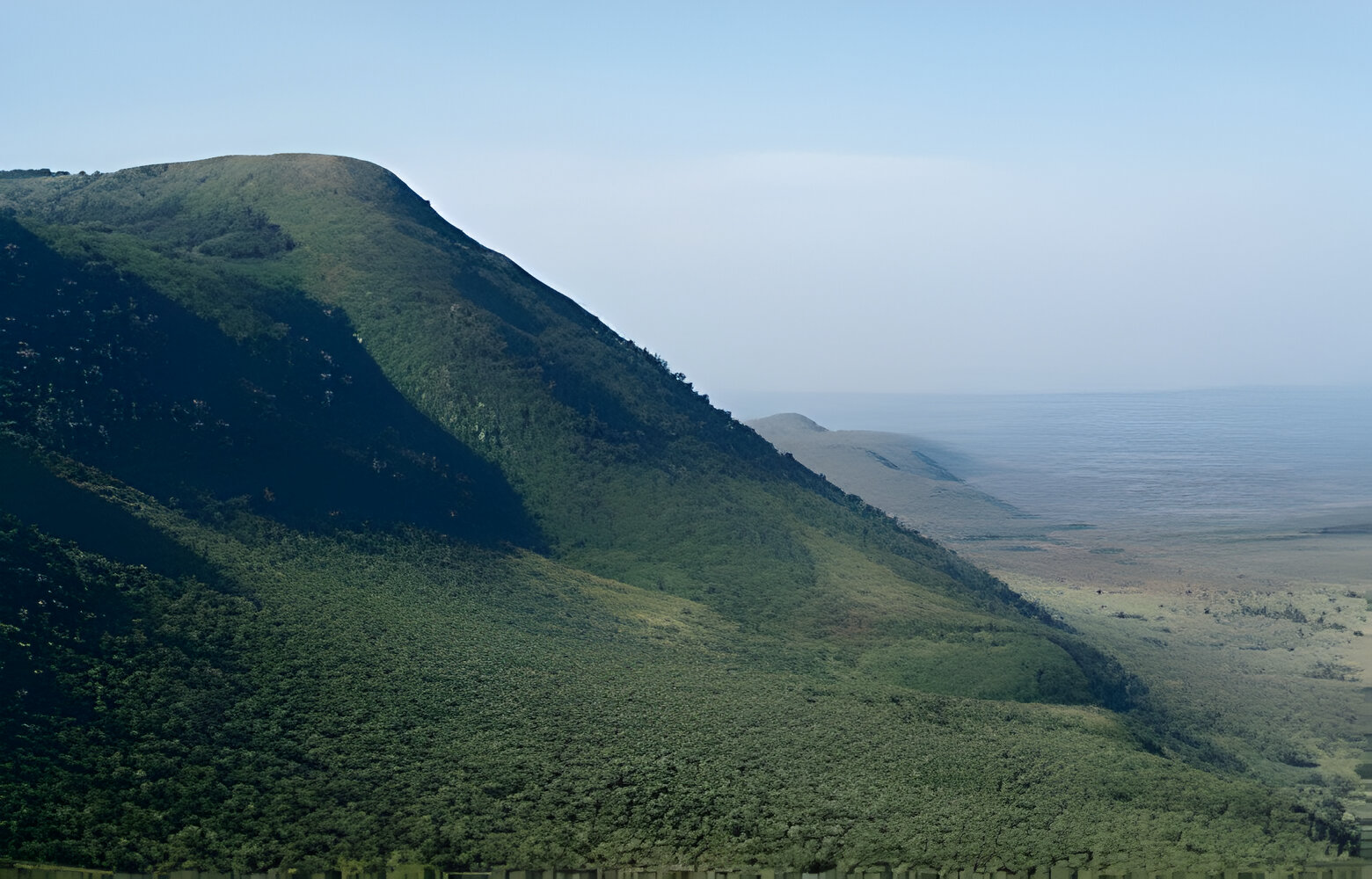 The Most popular 1 days hiking and walking safari kenya