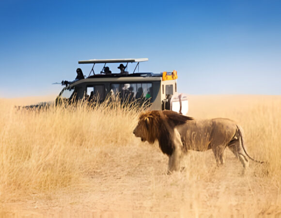 Tanzania Tour - prominent National Parks in Tanzania