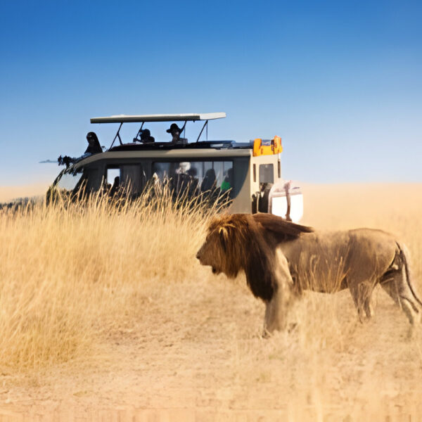 Tanzania Tour - prominent National Parks in Tanzania
