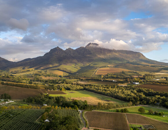 Mountain to Marine-Cape Town, Mossel Bay & Albertinia