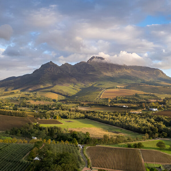 Mountain to Marine-Cape Town, Mossel Bay & Albertinia
