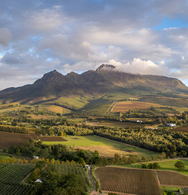 Mountain to Marine-Cape Town, Mossel Bay & Albertinia