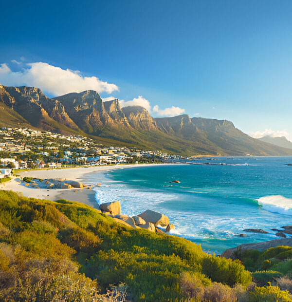 From Penguins to Predators-Cape Town, Kruger & Joberg