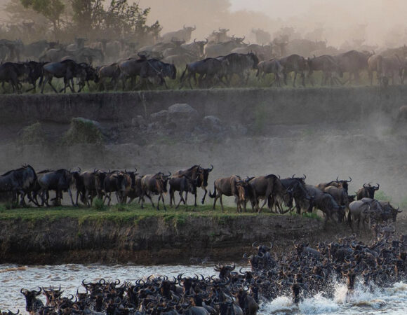 Tanzania Safari Tours – 50+ Group & Private Packages