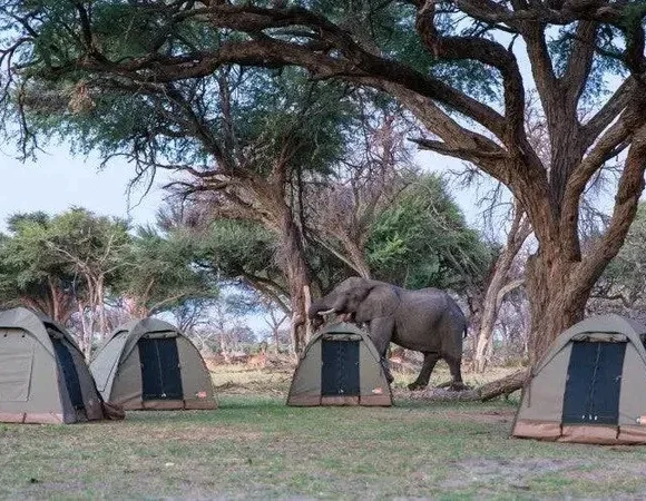 The best 4-Day Tanzania Budget Camping Safari