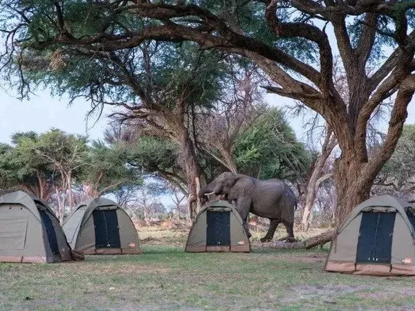 The best 4-Day Tanzania Budget Camping Safari