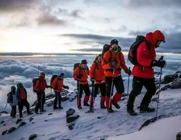 8 days Lemosho Route Kilimanjaro climbing/trekking
