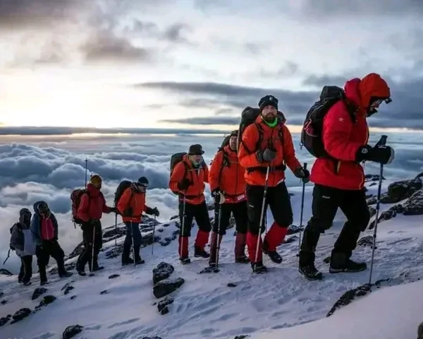 8 days Lemosho Route Kilimanjaro climbing/trekking