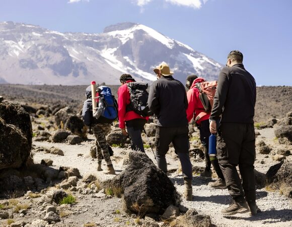 11 days Northern circuit Kilimanjaro climbing