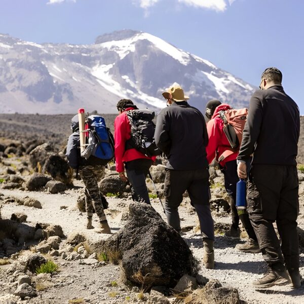6 days machame Group joining on Majestic Kilimanjaro climbing