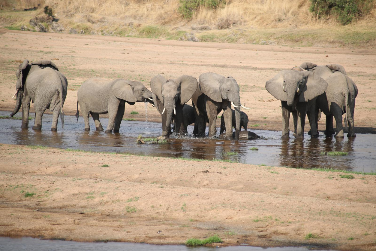 3 days Safari to Arusha, Tarangire, and Lake Manyara