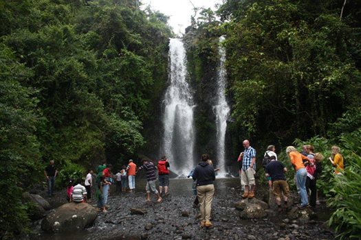 Marangu waterfall 1-day trip