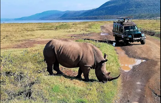 4-Day Tanzania Luxury Safari - Book NOW