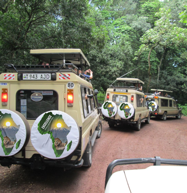 The best 5 Day Budget Friendly Tour – Uganda Safari and Gorilla Trekking