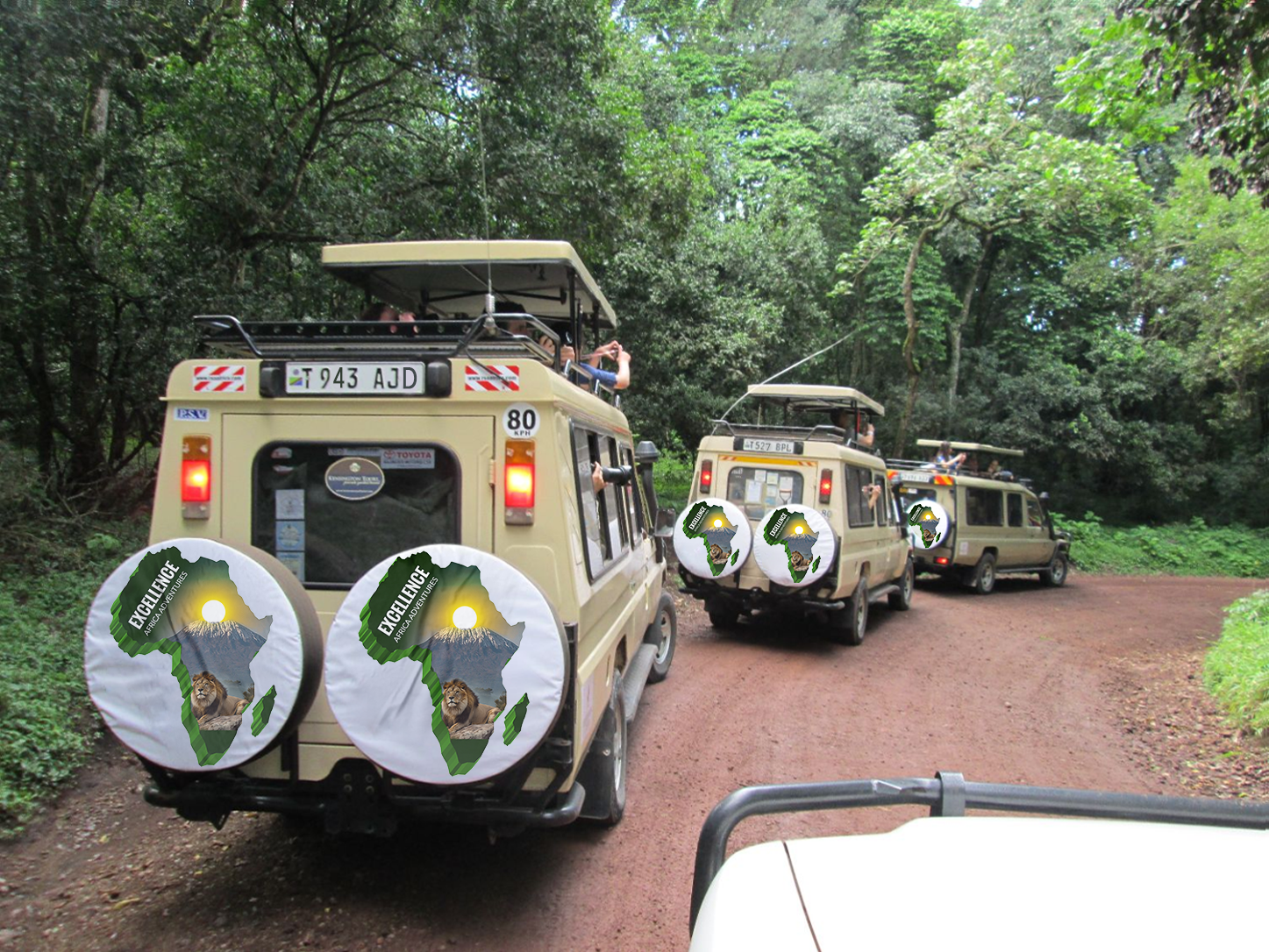 The best 5 Day Budget Friendly Tour – Uganda Safari and Gorilla Trekking