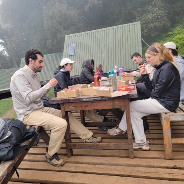 7-Day Tanzania safari Expedition