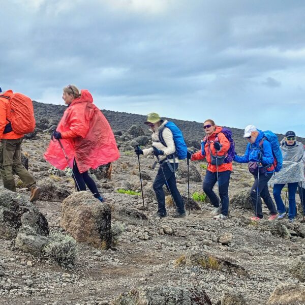 5 days Kilimanjaro Climbing group joining Marangu route