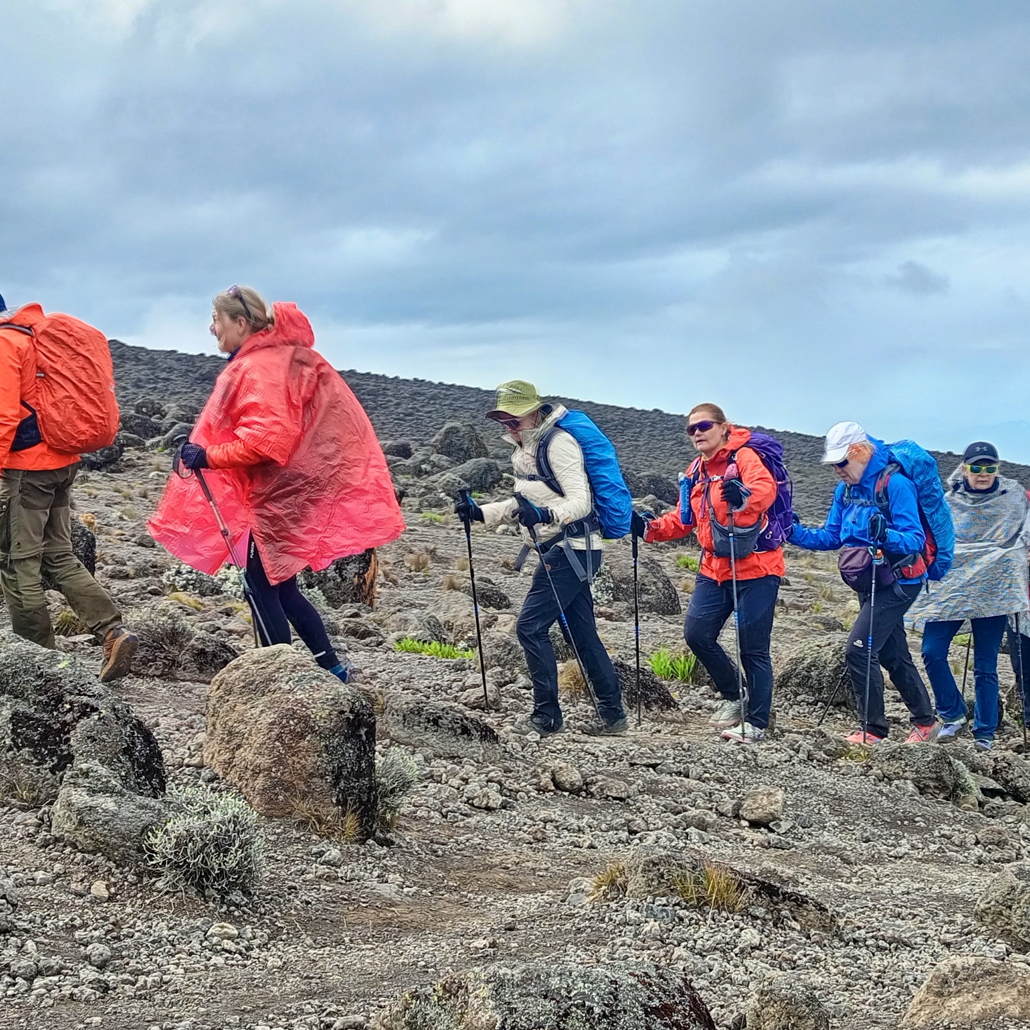 5 days group joining Marangu route, Kilimanjaro Climbing