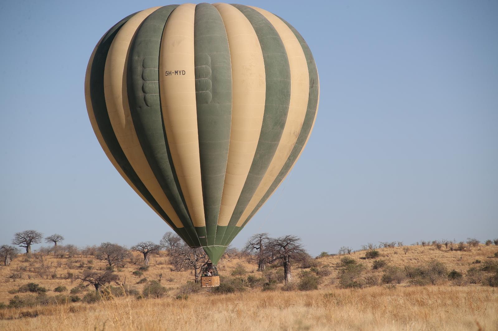 Enjoy your 3-15-day Tanzania Family Safari From any airport, Moshi, Arusha, karatu