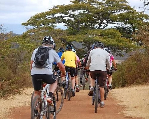 Kilimanjaro bike tour day trip in Moshi