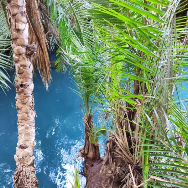 1-day trip to Chemka Hot Springs