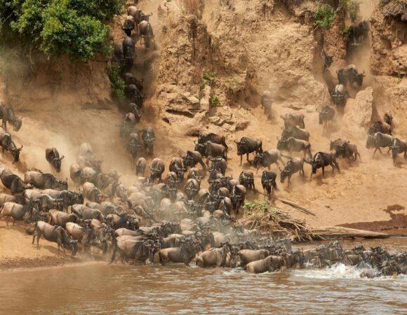 3 days Tanzania safari to Serengeti and Ngorongoro