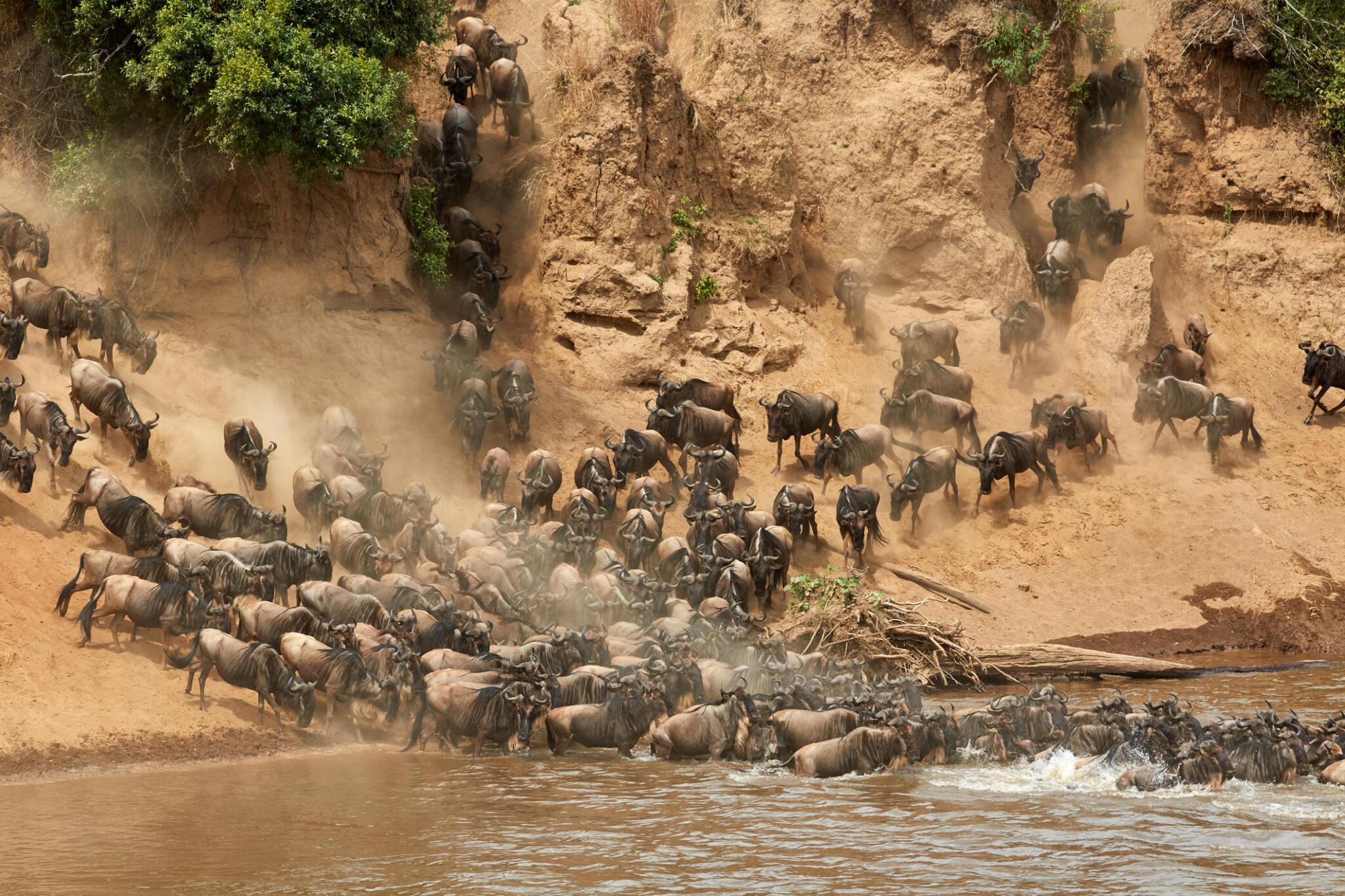 3 days Tanzania safari to Serengeti and Ngorongoro