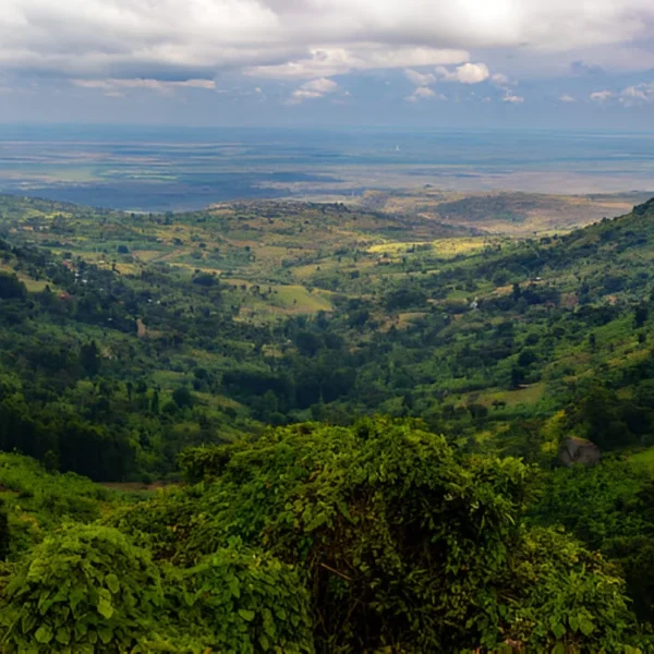 The most popular 5 Day Mount Speke Trek