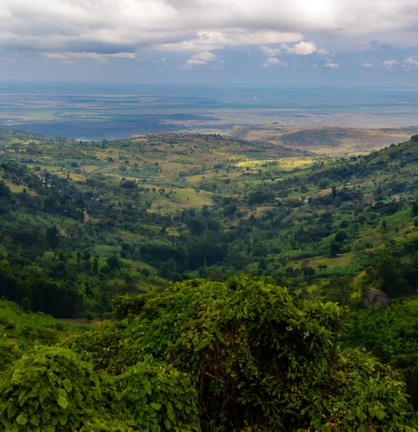 The most popular 5 Day Mount Speke Trek