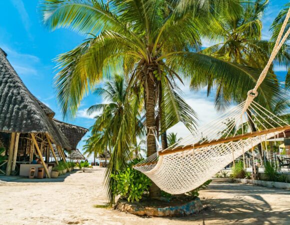 Highest rated Tanzania tour company: 7-Day Tanzania Safari & Zanzibar Island Holiday