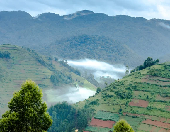 The best 6 Day Weismann’s Peak in Uganda