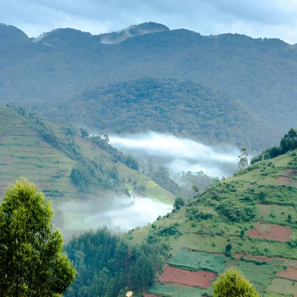 The best 6 Day Weismann’s Peak in Uganda