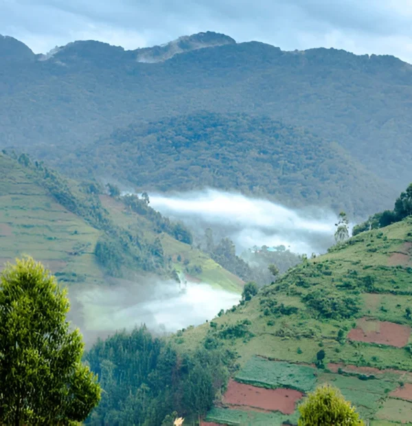 The best 6 Day Weismann’s Peak in Uganda