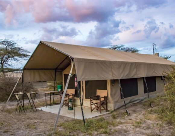 7-Day Tanzania Budget Camping Safari