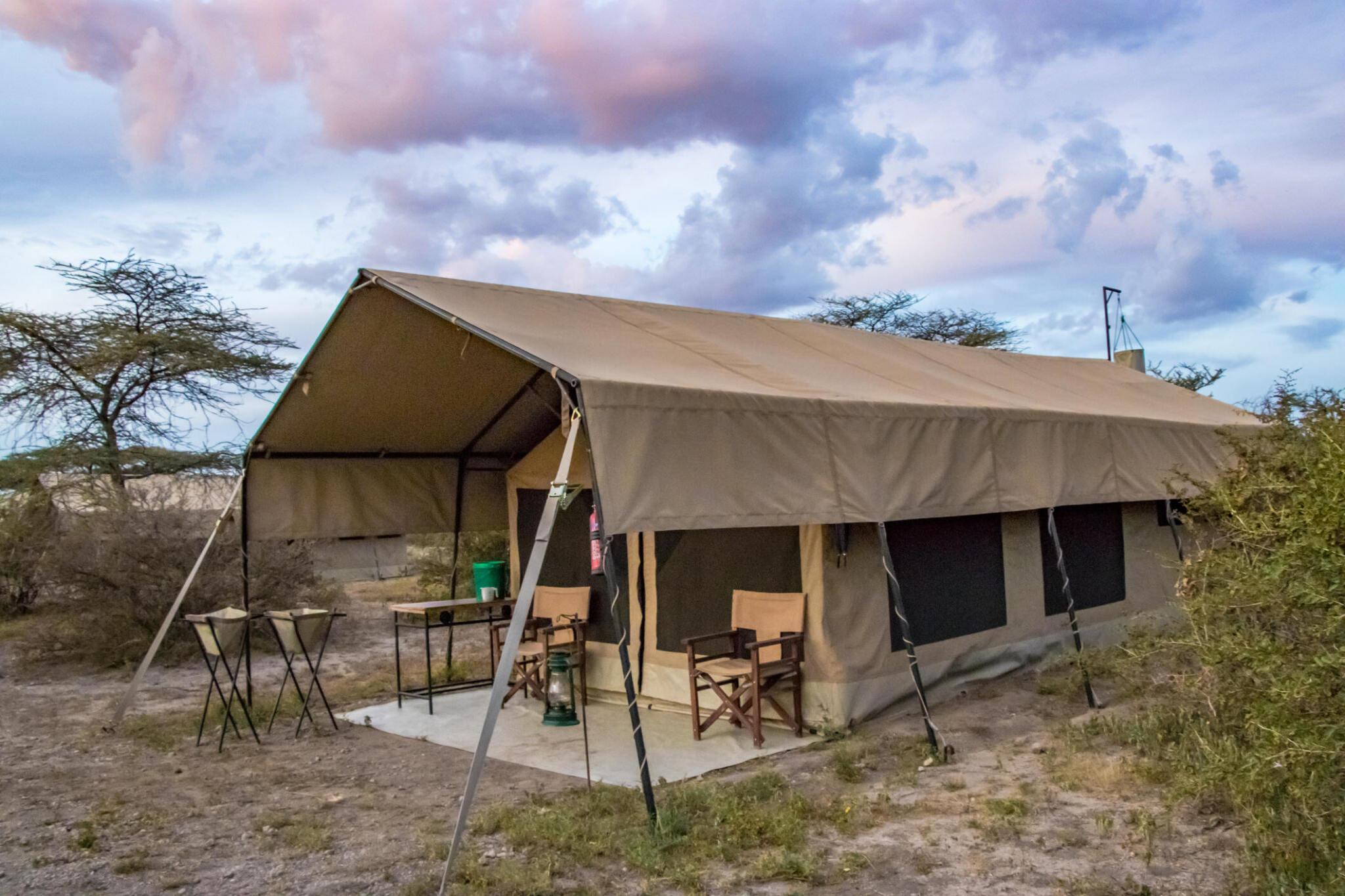 5-Day Tanzania Budget Camping Safari from Kilimanjaro International Airport