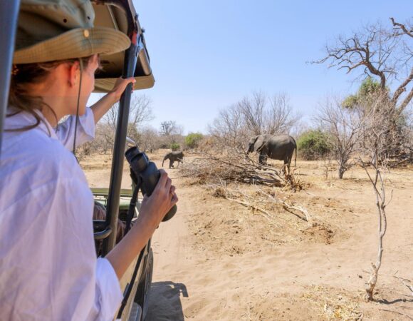 A Top local Tanzania tour company | Serengeti NP & Ngorongoro crater Tour