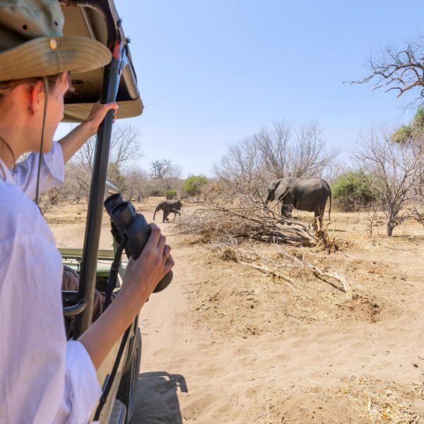 A Top local Tanzania tour company | Serengeti NP & Ngorongoro crater Tour
