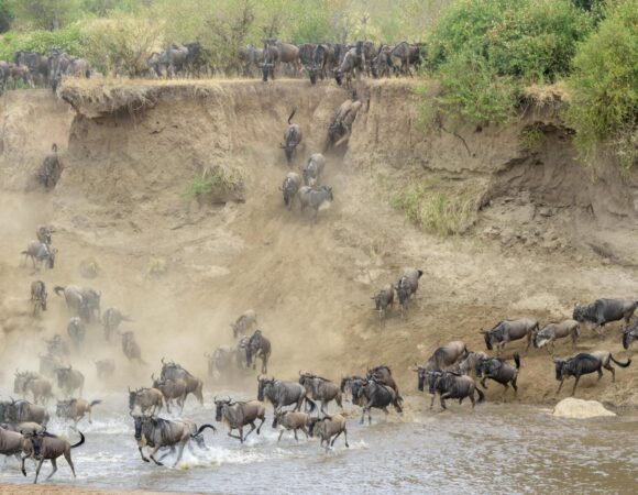 5 day Great Serengeti Migration Luxury Safari.