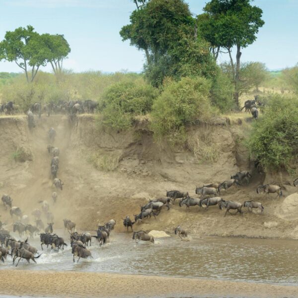 8-days Greatest Serengeti Migration Safari in Tanzania