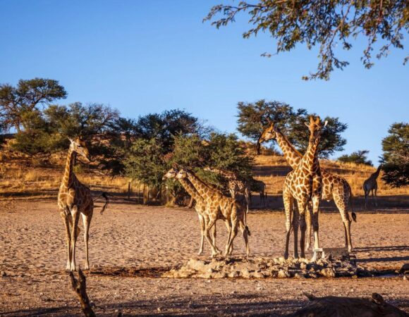 The most popular 2 Day Jinja Tour in Uganda