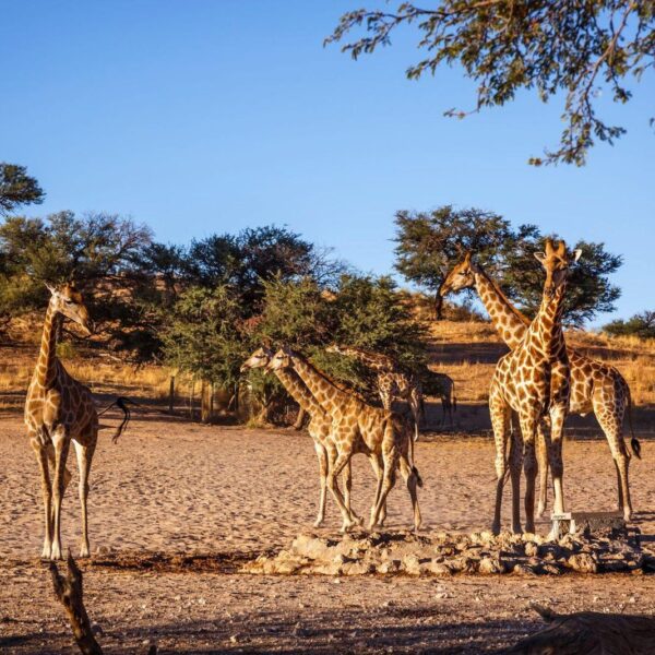 The most popular 2 Day Jinja Tour in Uganda