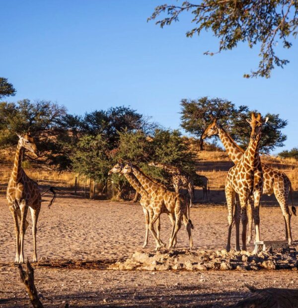 The most popular 2 Day Jinja Tour in Uganda