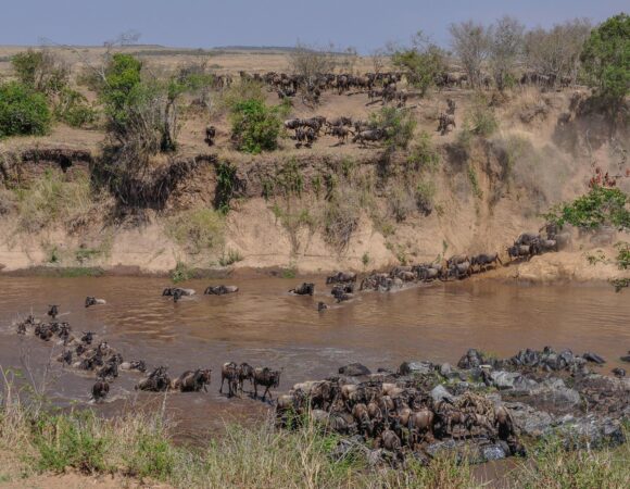 5-Day Kenya & Tanzania Safari tours